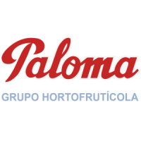 grupo paloma logotipo