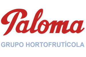 grupo paloma logotipo