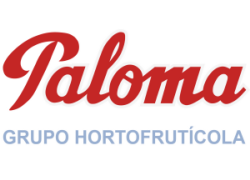 grupo paloma logotipo